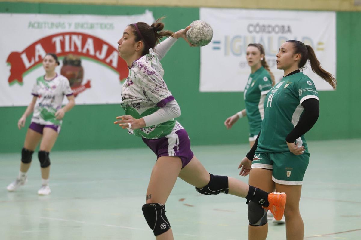 El Adesal balonmano - Anaitasuna, en imágenes