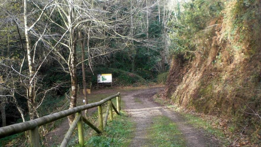 Uno de los senderos de la ruta