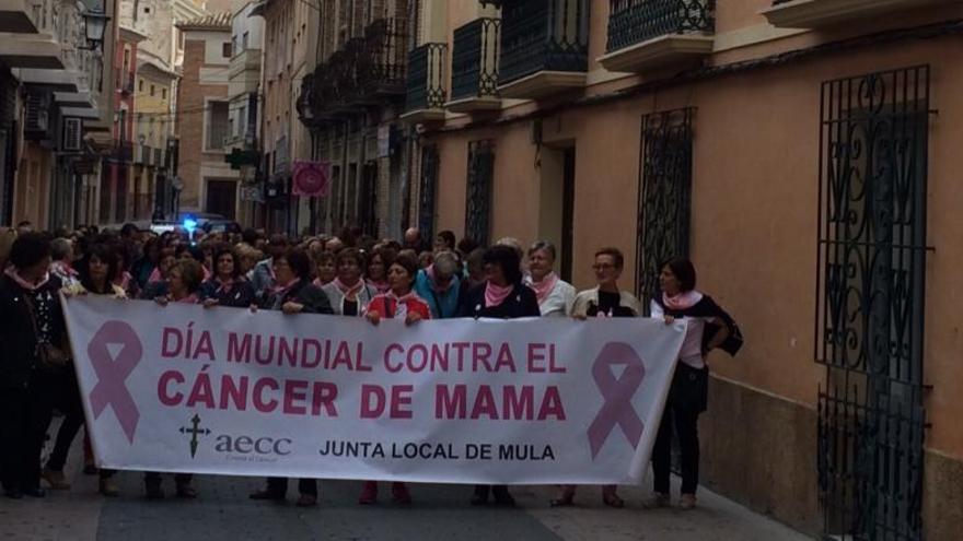 Marcha contra el cáncer de mama