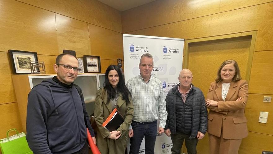 El dulce momento del queso artesano en Asturias, que suma nuevas incorporaciones