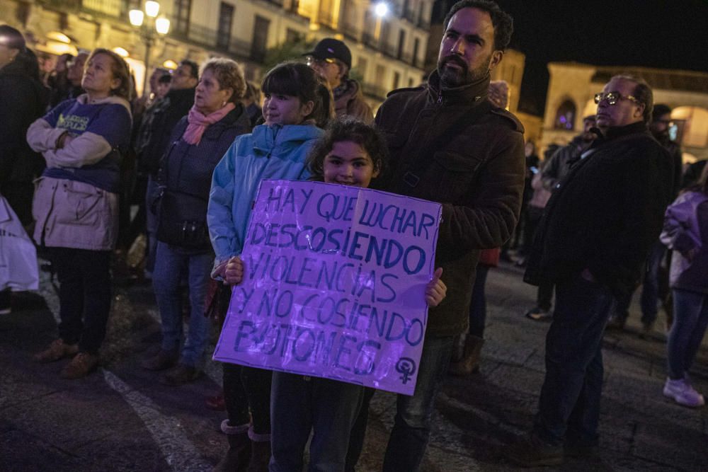 Manifestación del 25N en Zamora.