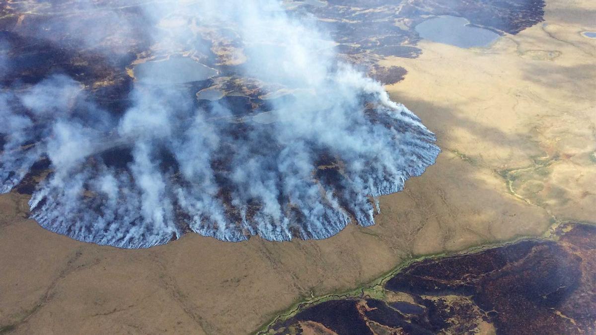 Incendio forestal avanzando por los bosques boreales