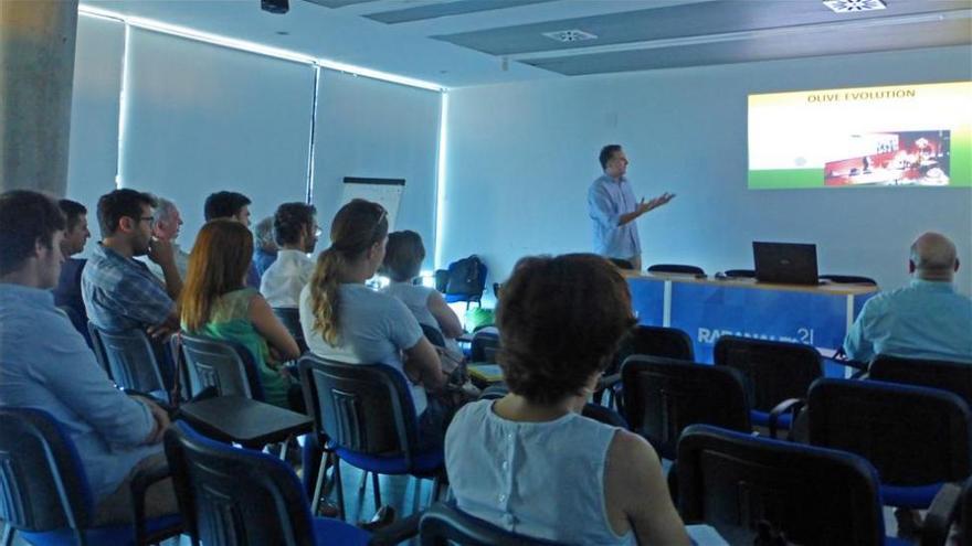 Una empresa de Córdoba participa en un proyecto internacional sobre la biodiversidad del olivo