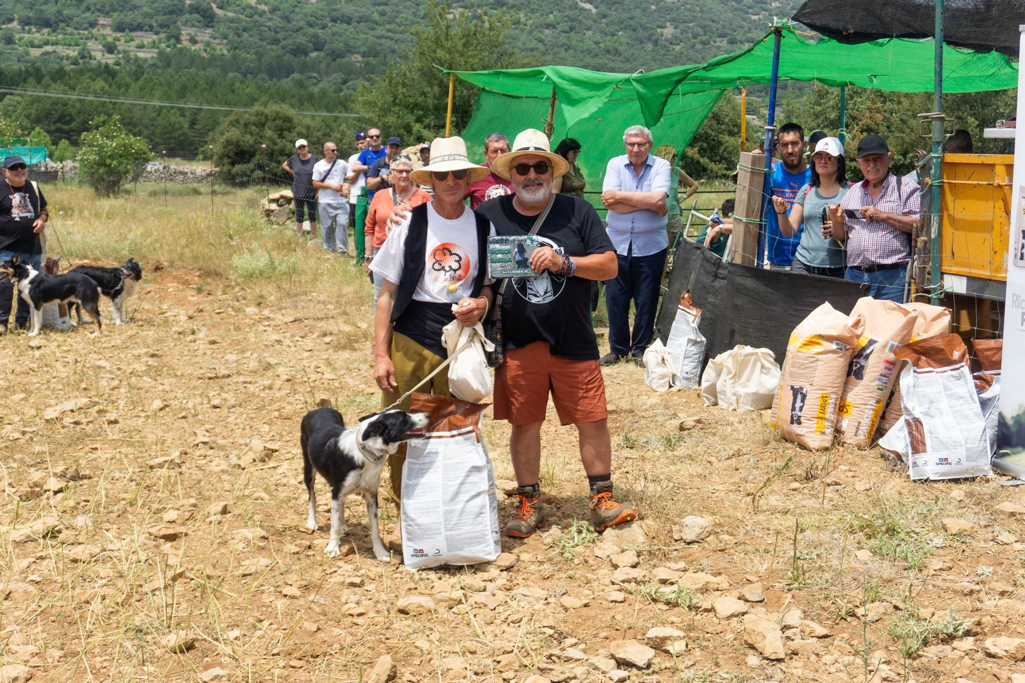 FOTOGALERÍA: Las imágenes del concurso de perros pastores de Ares del Maestrat