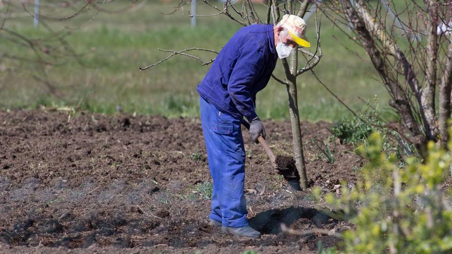 Galicia estrenará ayudas de hasta 55.000 euros para “debutar” en el campo con entre 41 y 55 años