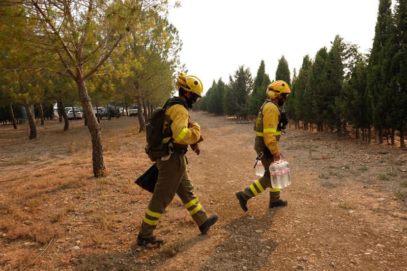 Declarado un incendio en una zona de barranco de Beneixama