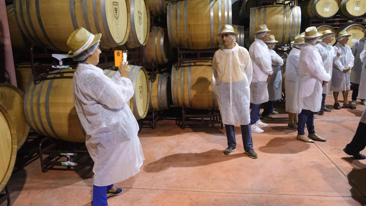 Un grupo de personas disfruta de una visita guiada en una bodega de la provincia de Alicante.