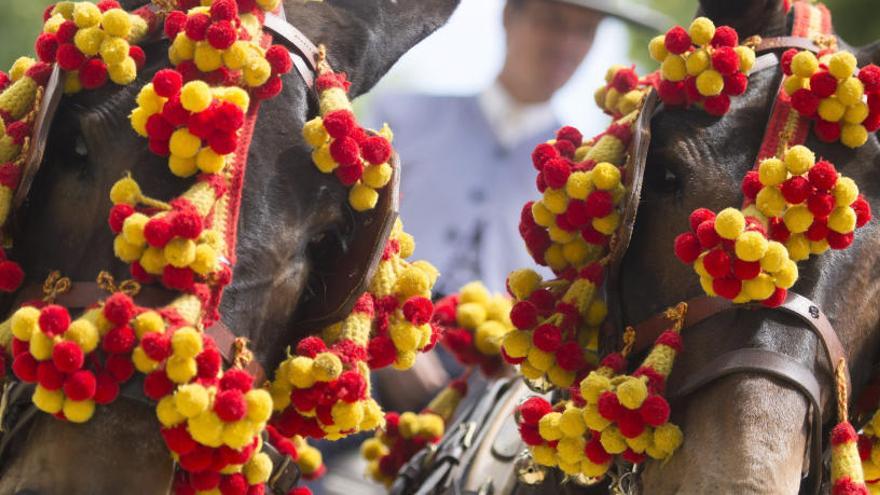 Dos caballos tiran de un carruaje en la Feria de Abril.