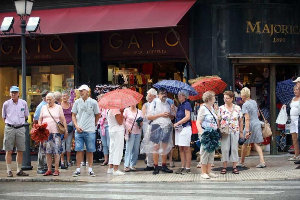 Heftige Regenfälle haben am Freitag (23.9.) auf Mallorca den Straßenverkehr teilweise stark beeinträchtigt. In mehreren Straßen in Palma stand das Wasser so hoch, dass Autos nicht mehr fahren konnten.