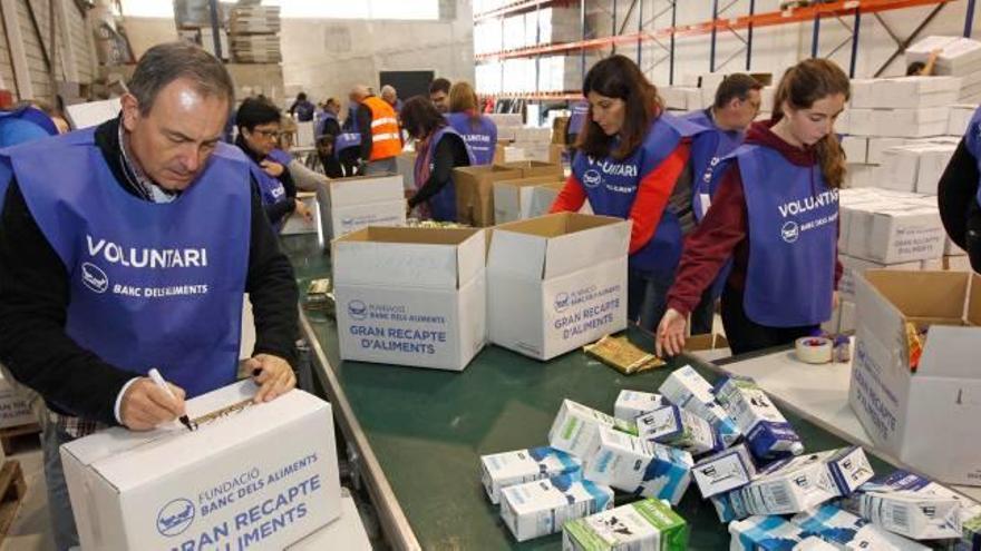 Voluntaris en un magatzem del Banc dels Aliments a Girona, en una imatge d&#039;arxiu.