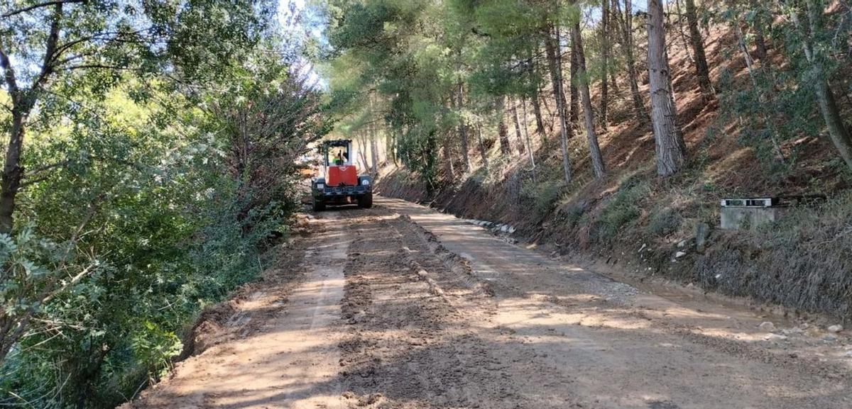 Limpieza de caminos efectuada por operarios y maquinaria de la DPZ. | SERVICIO ESPECIAL