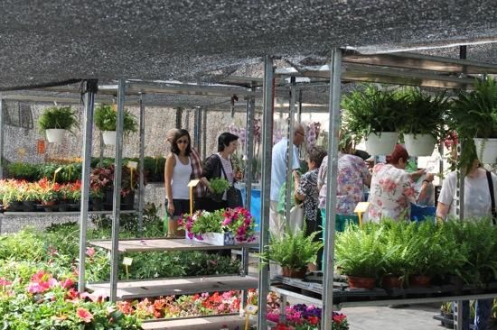 Mercat de flors a Manresa