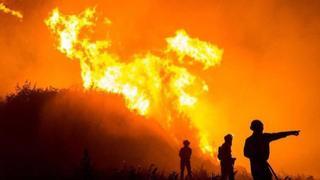 Advierten de que Canarias es un "polvorín" para los incendios y "lo peor está por llegar"
