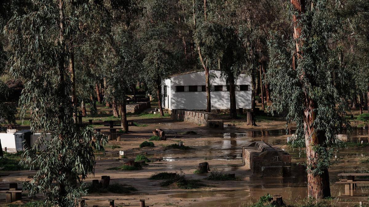 Inundación en Cártama por el desbordamiento del río Guadalhorce