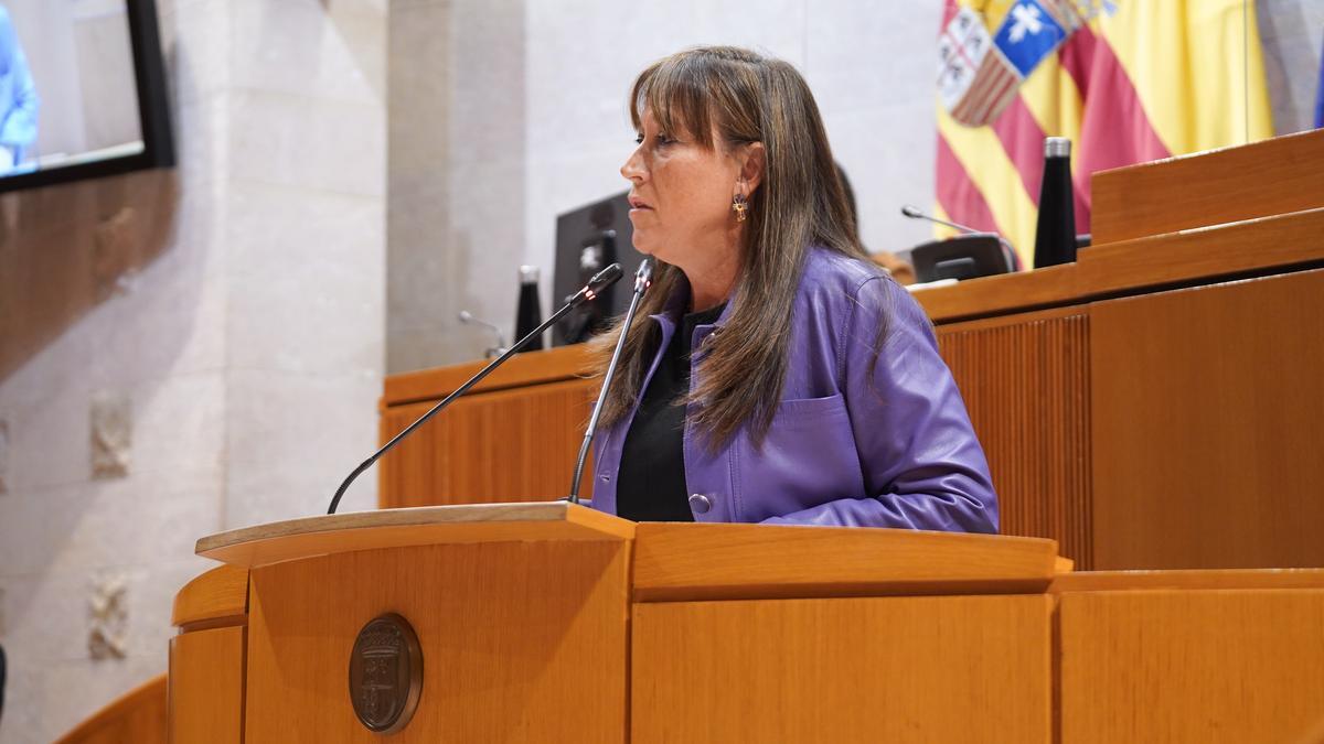 La consejera de Sanidad, Sira Repollés, durante su intervención.