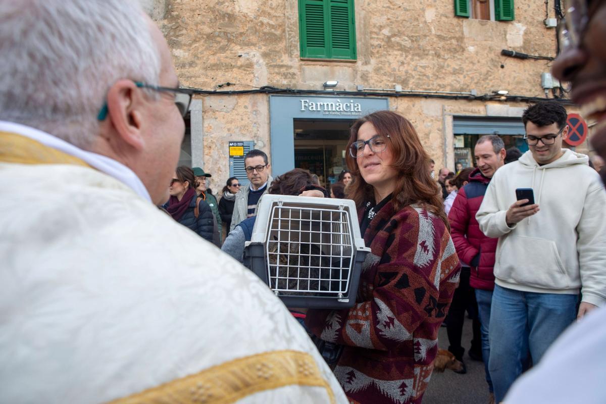 Beneïdes en Pòrtol.