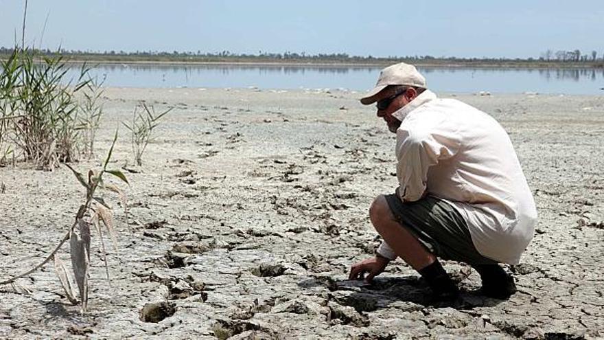 El embalse de Levante padece una importante sequía. Al fondo, peces muertos al inicio de la lámina de agua.