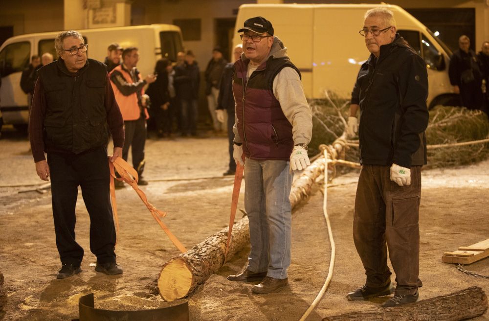 Sant Antoni arranca en Sagunt con la tradicional Plantà del Pi