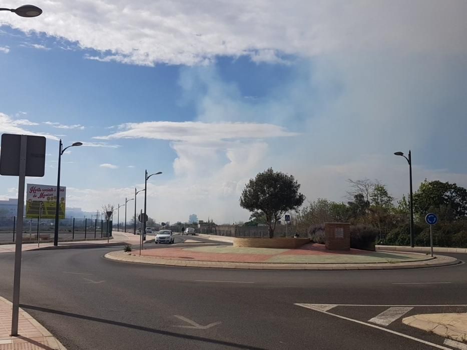 Incendio parque fluvial del Turia en Manises