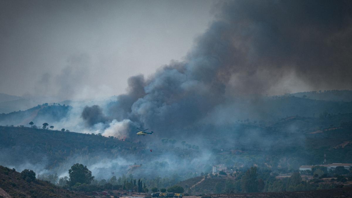 VÍDEO | El incendio de Niebla sigue activo en Aznalcóllar: 450 efectivos y una veintena de medios aéreos combaten las llamas