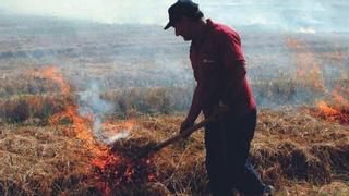 La Junta modificará la normativa para permitir las quemas agrícolas
