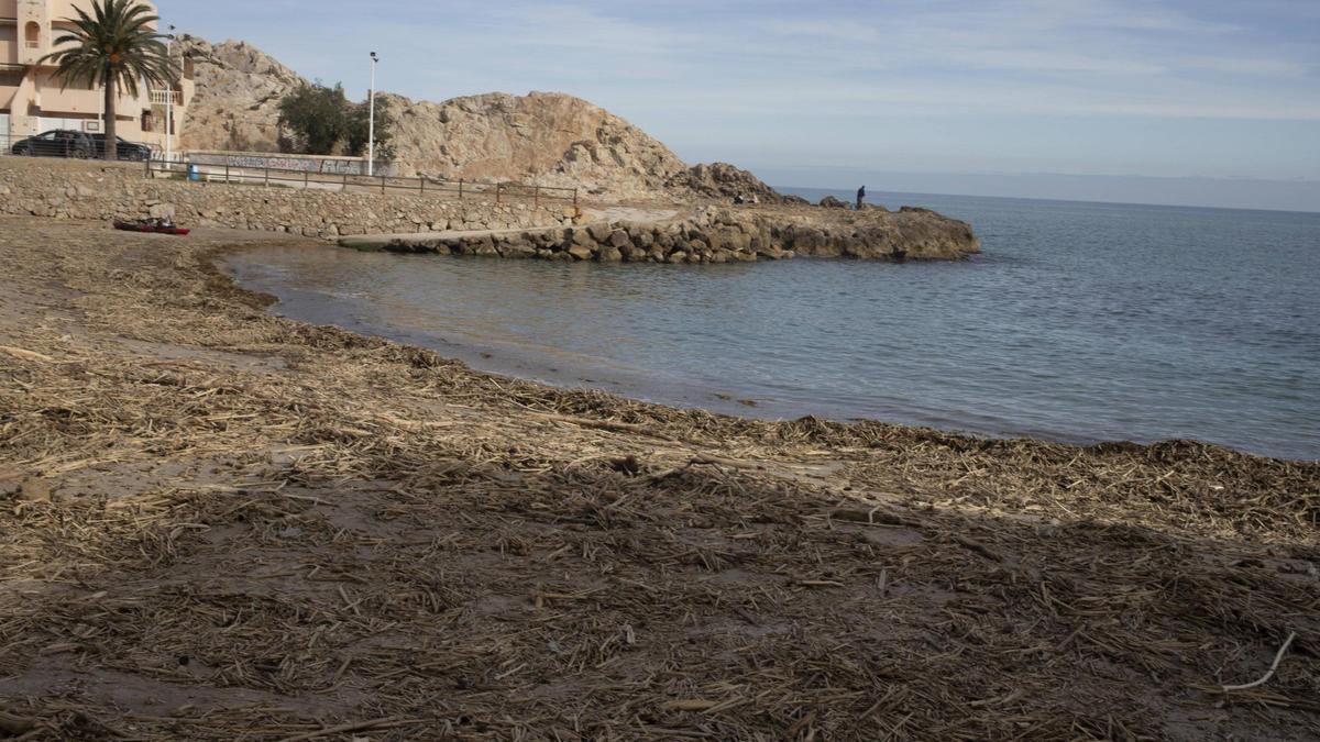 Cañas y otros restos de la dana en la playa de Cullera, en una imagen de archivo.