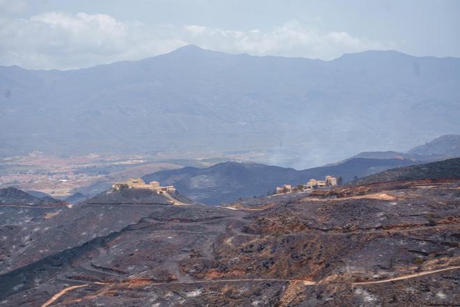 El incendio de Los Gallardos (Almería) no avanza y la perspectiva de estabilización es favorable