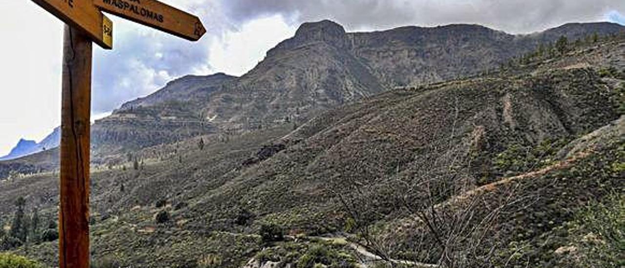 Vista del macizo de Amurga desde la carretera de Santa Lucía a San Bartolomé de Tirajana.