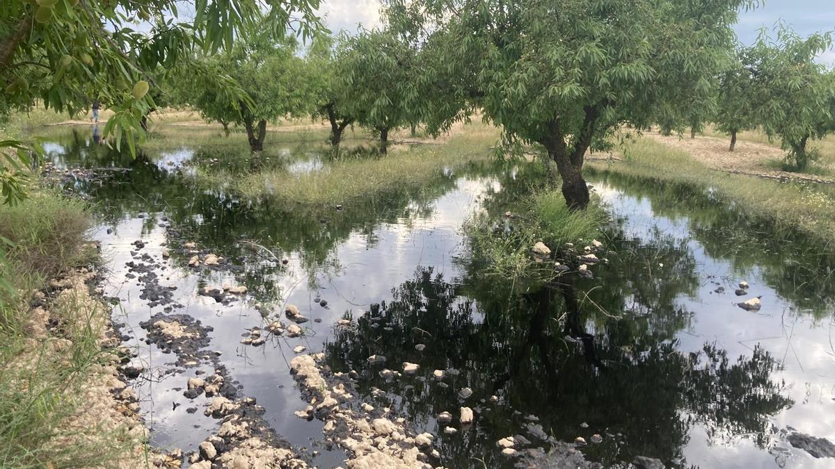 La finca afectada por la rotura del oleoducto
