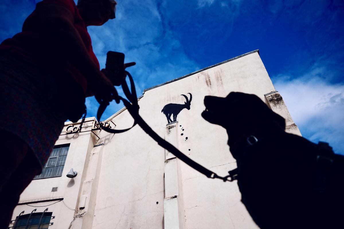 La nueva obra del artista urbano Banksy en el barrio de Richmond, al suroeste de Londres