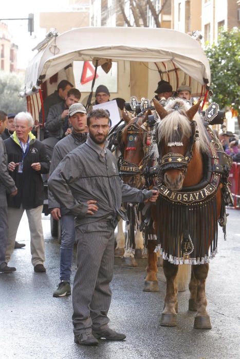 Sant Antoni en Valencia 2017