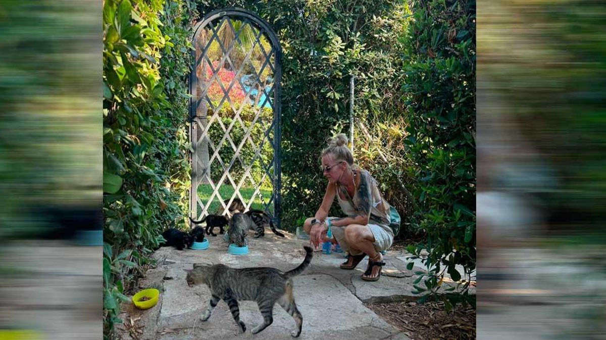 Hat ein großes Herz für Katzen und versorgt um die 60 Tiere: Steffi Mersch.