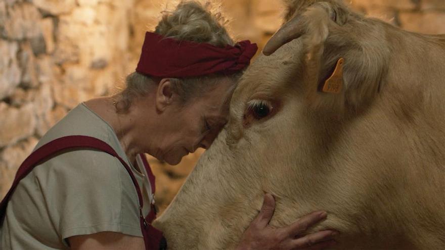 Cowgirl revient dans les Ports avec une projection spéciale à Morella