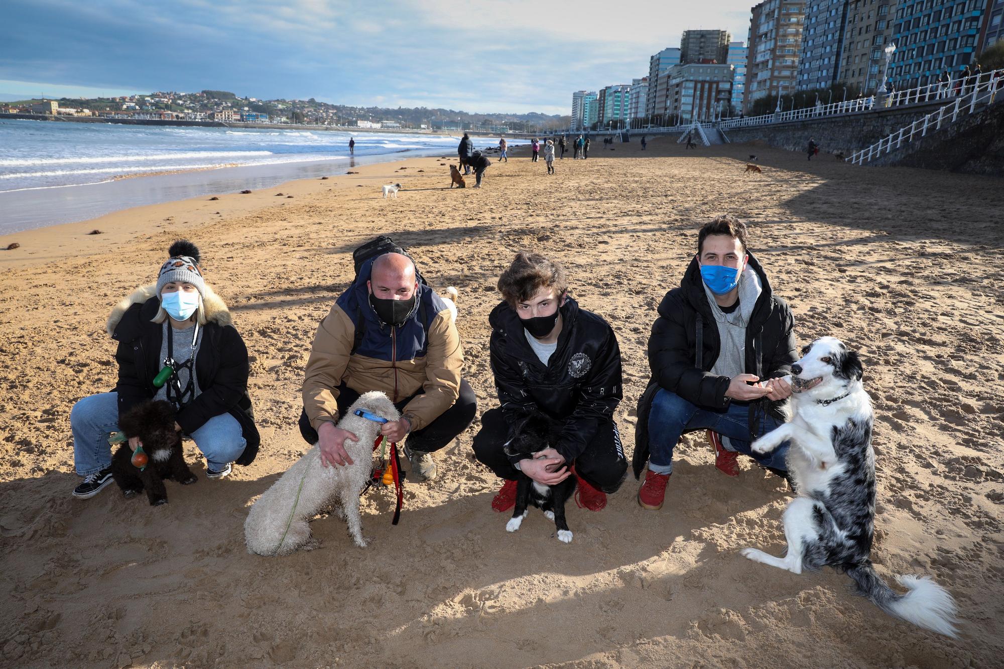 Las zonas para perros, espacios seguros