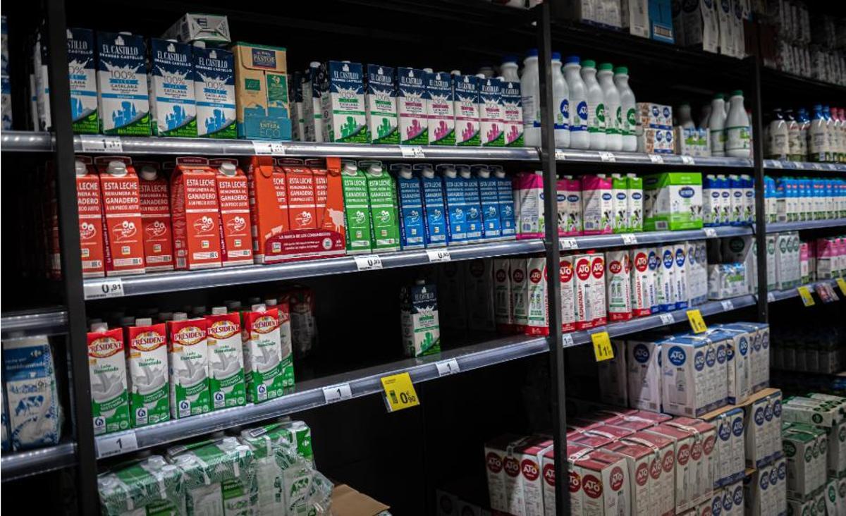 El lineal de los lácteos de Aldi