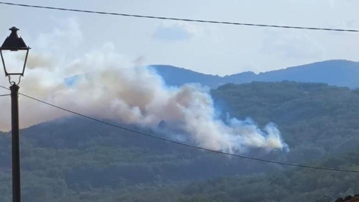 Imagen de la columna de humo