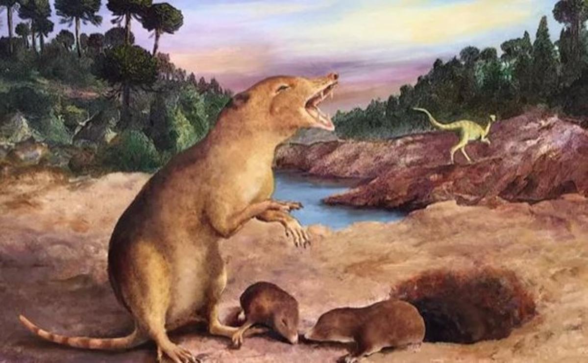 Recreación del Brasilodon Quadrangularis.