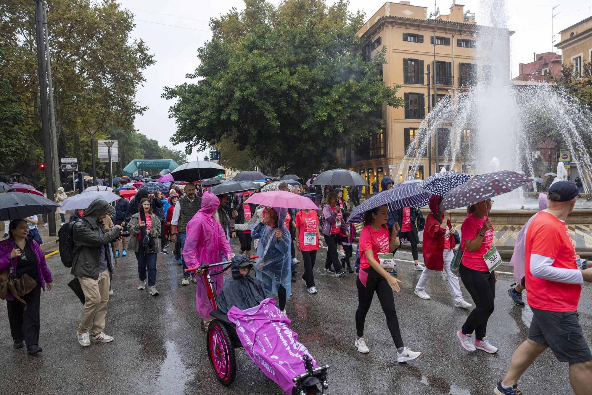 Búscate en la X edición de la carrera popular 'Mallorca En Marcha Contra el Cáncer' celebrada en Palma