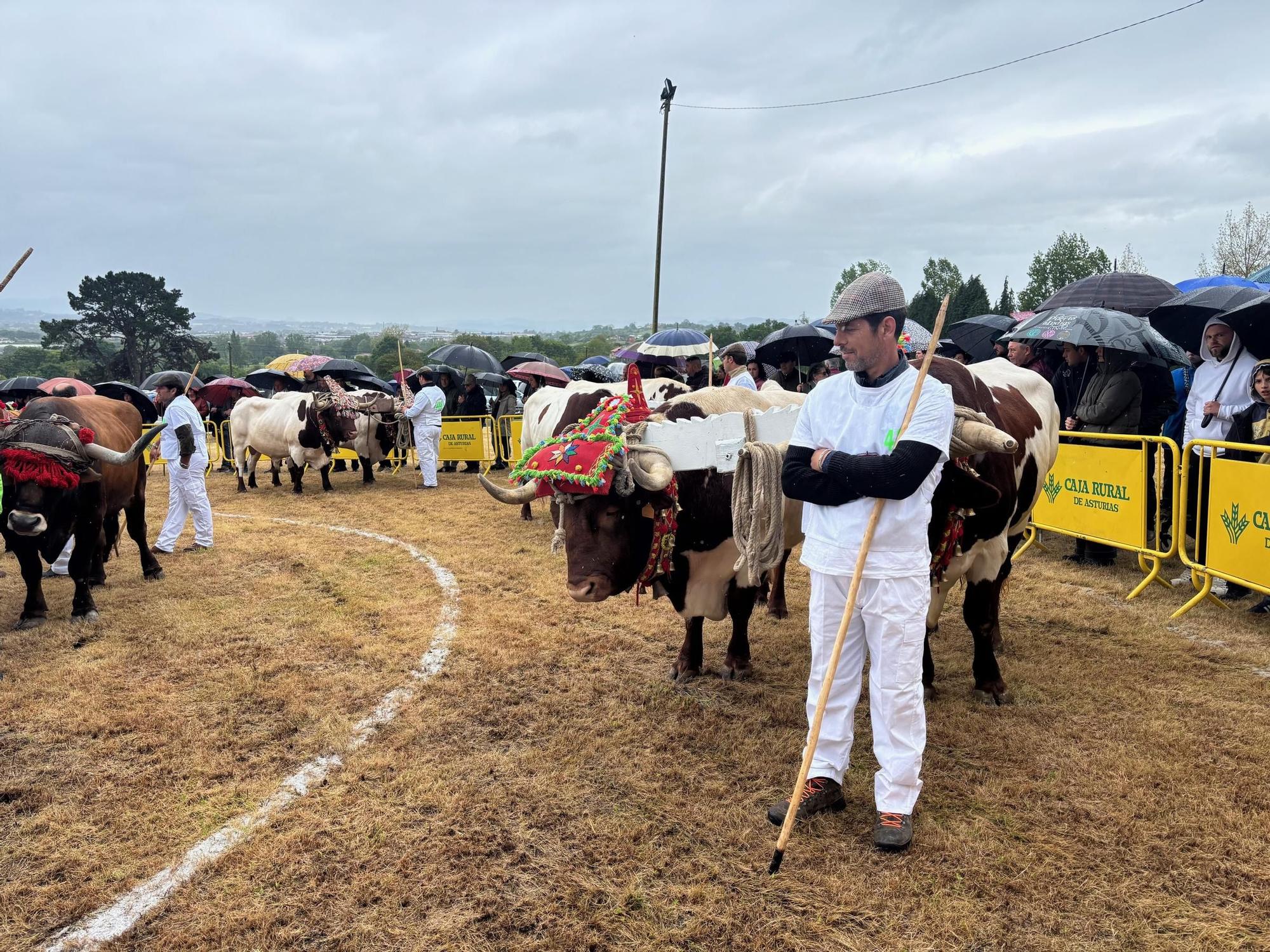 EN IMÁGENES: El domingo de San Isidro en Llanera