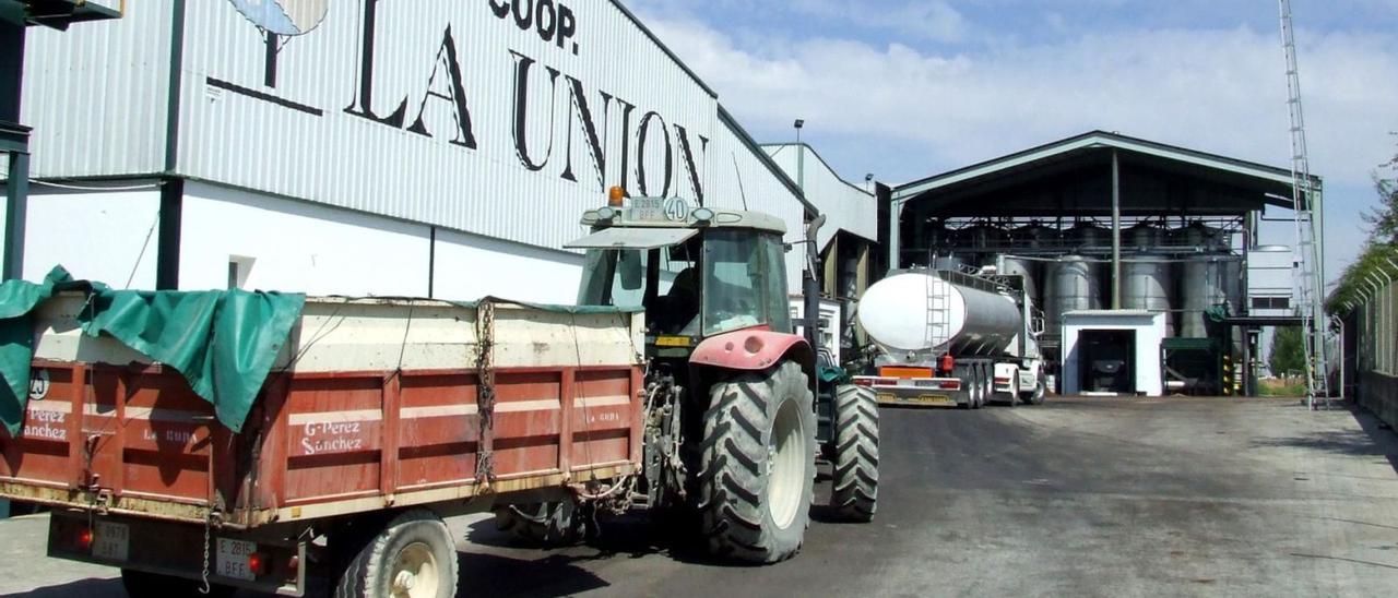 Instalaciones con las que la cooperativa agrícola La Unión cuenta en la calle Río de la Hoz, en las inmediaciones de la estación de ferrocarril.