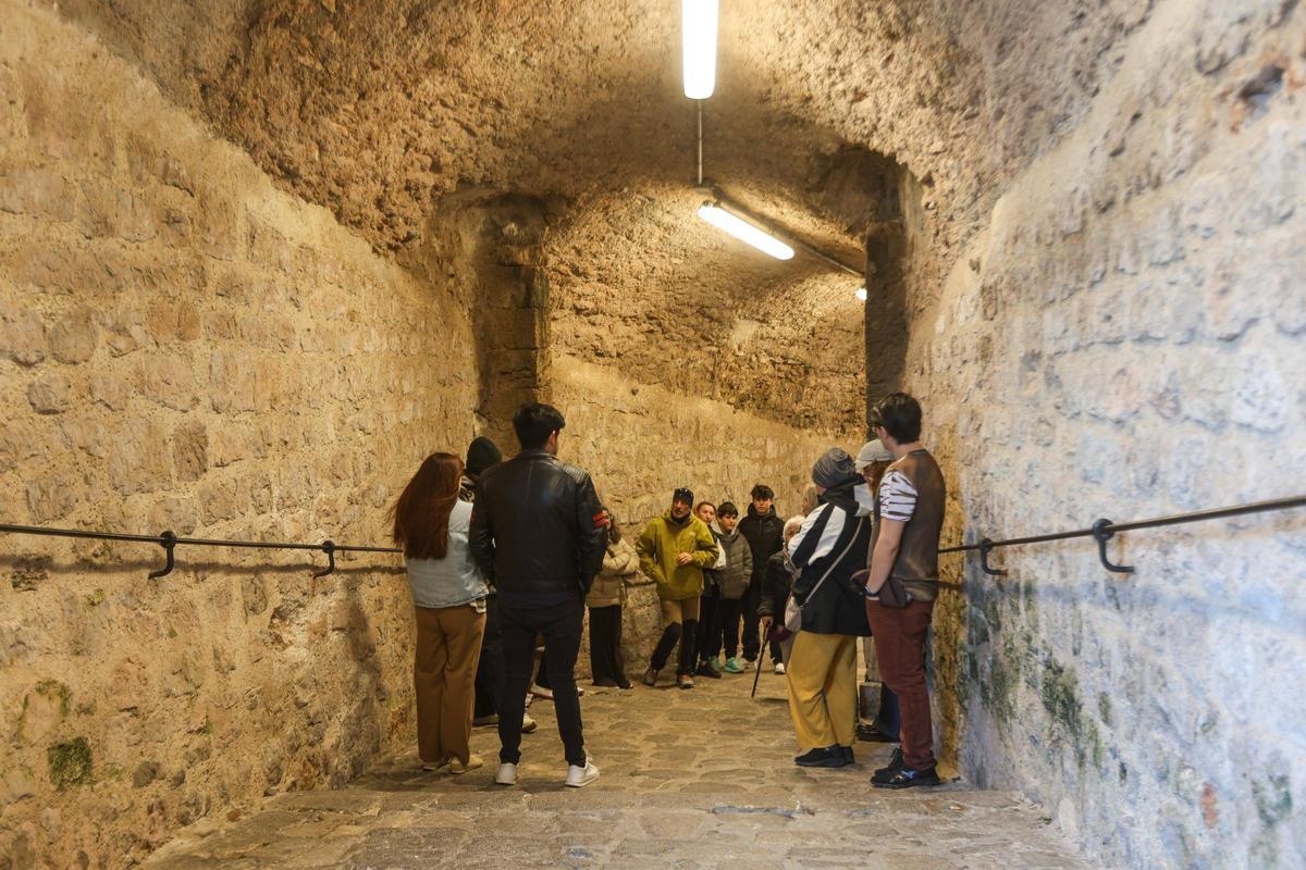 Explicación de Mezquida en el acceso por el Portal Nou