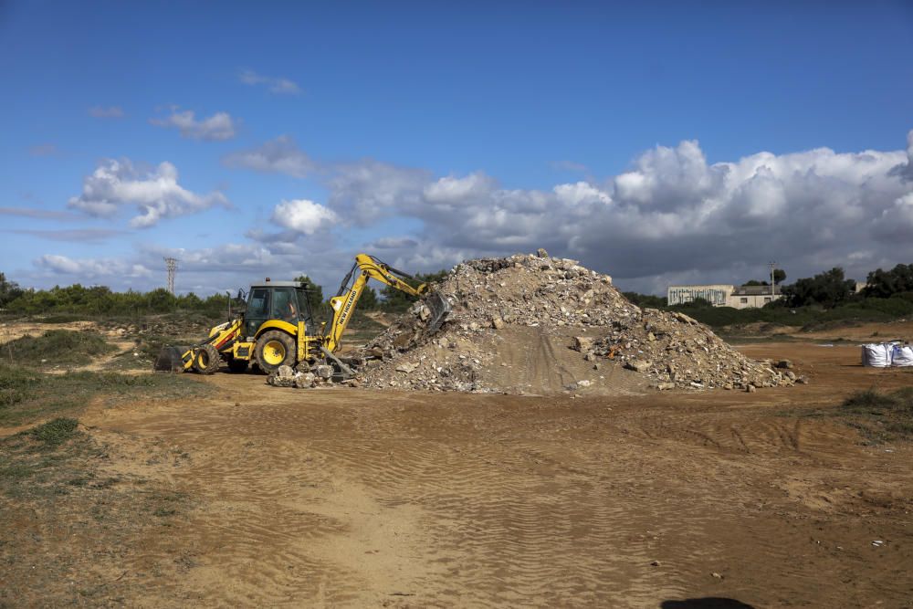 la reforestación de es Carnatge comenzará  en noviembre