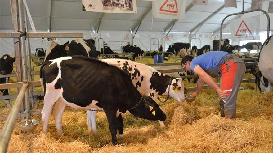 La Feria Agroganadera abre hoy sus puertas