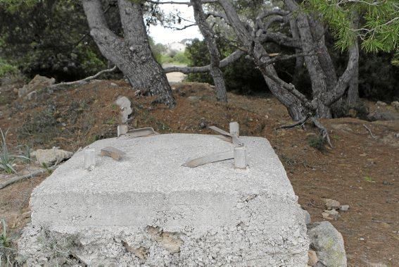 In Es Carnatge, dem letzten unverbauten Küstenabschnitt Palmas, aasten einst die Geier. Nun soll hier ein Park entstehen.