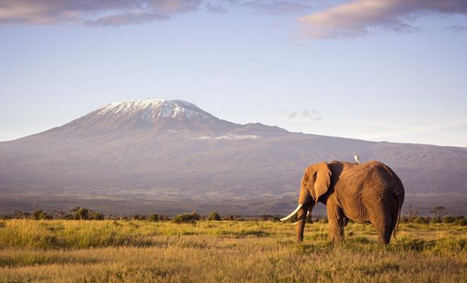 Amboseli, Kenia