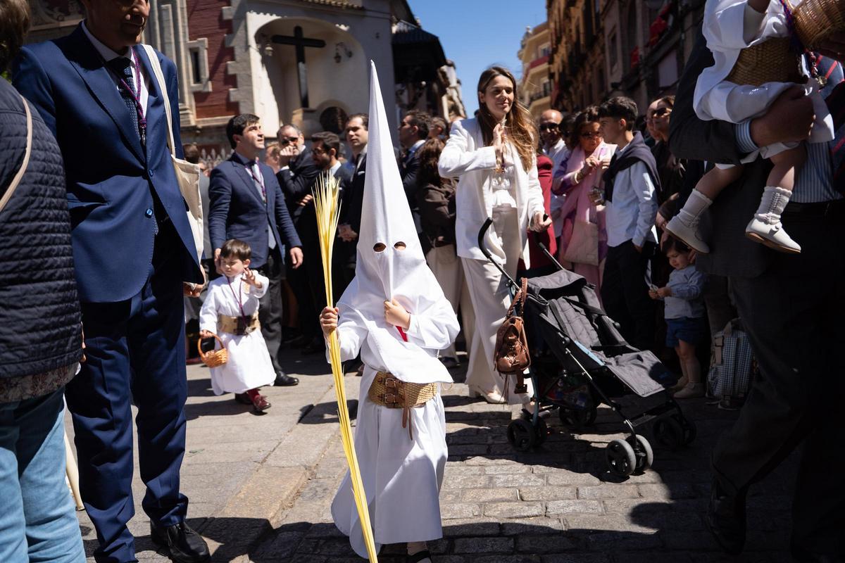 Las mejores imágenes del Domingo de Ramos