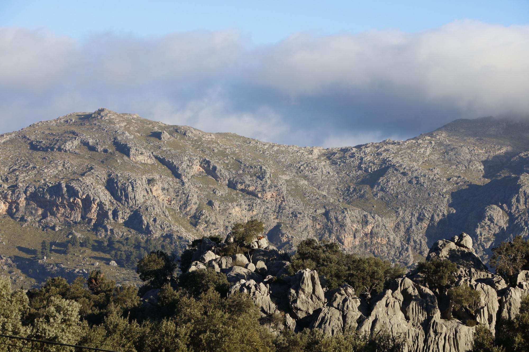 Die sonnige Tramuntana macht Lust auf Mallorca-Urlaub im Winter