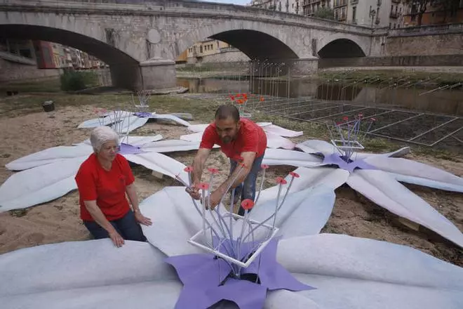 El riu Onyar tindrà 35 flors de grans dimensions