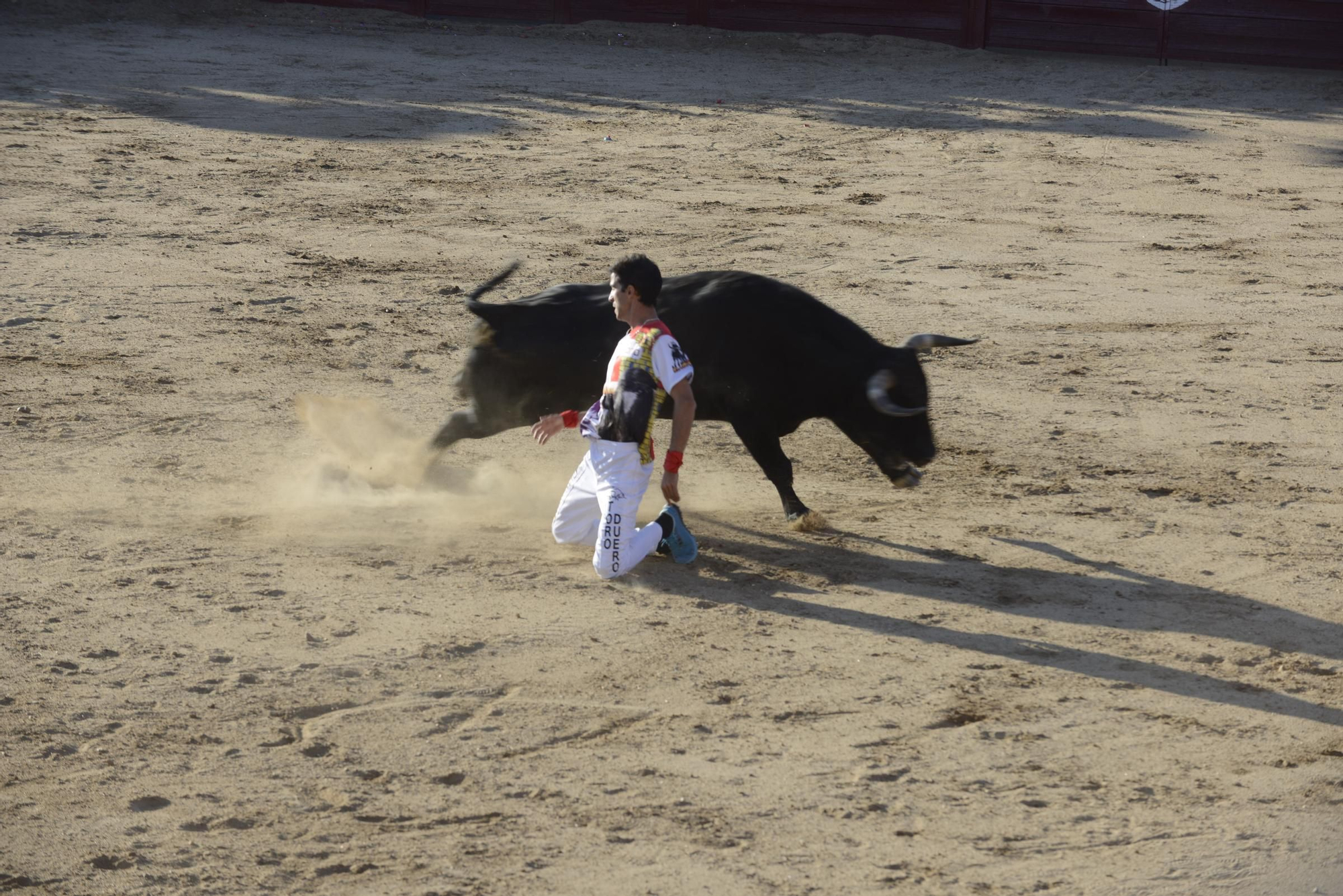 GALERÍA | Unos cuantos cortes de los arriesgados en Benavente