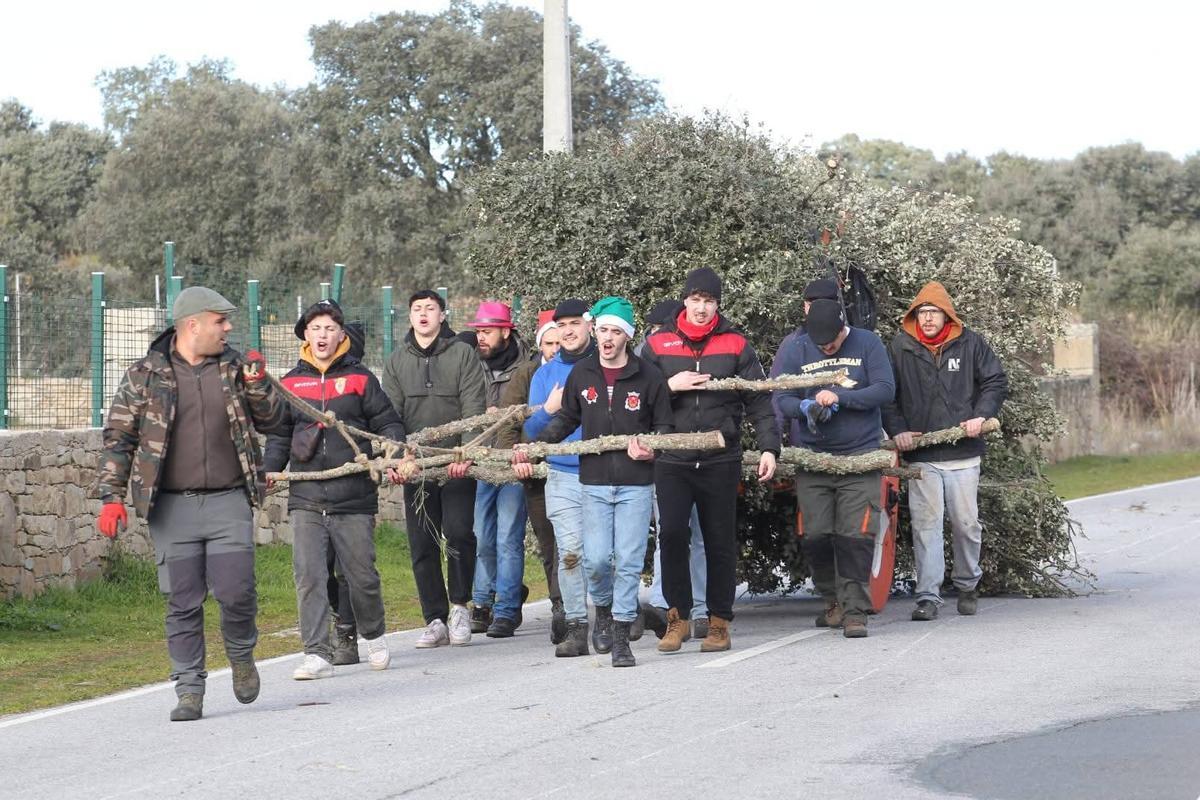 Fiesta de las "Hogueras del Gallo" en Miranda do Douro